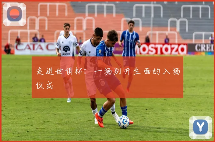 走进世俱杯:一场别开生面的入场仪式