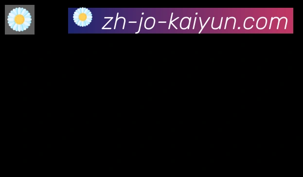 开云APP合作伙伴